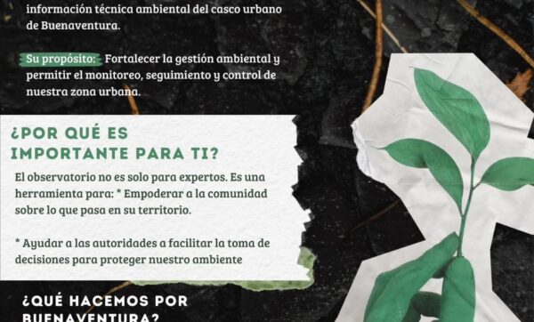 WhatsApp Image 2025-11-25 at 8.48.59 AM (1)